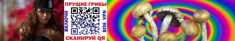 Псилоцибиновые грибы GOLDEN TEACHER  Купить закладки  Мышкин 